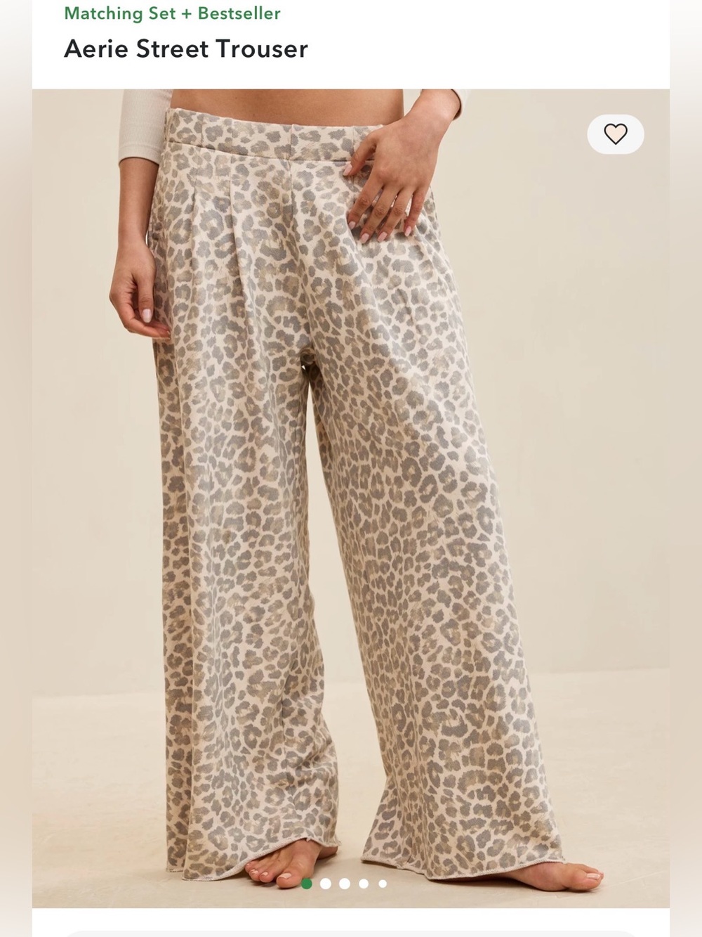 Aerie Leopard Print Pants